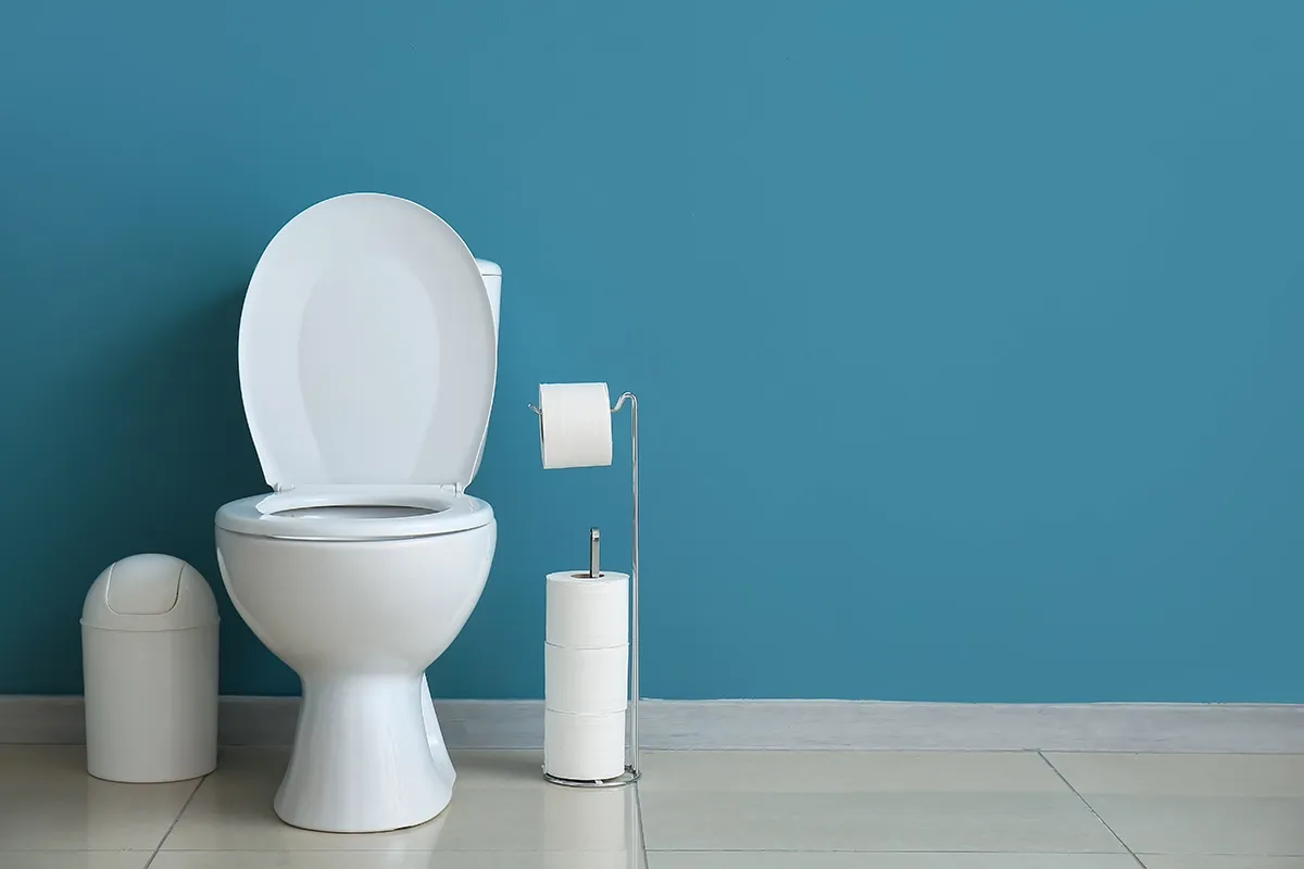 White toilet in a clean bathroom for a guide on how to unclog a toilet without a plunger.
